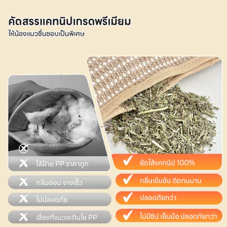 Doge&Orange หมอนนอนแมว ยัดไส้แคทนิป ของเล่นหมอนแคทนิปแมว ลับเล็บได้ ทนการขีดข่วน วัสดุธรรมชาติ 100% ปลอดภัยต่อแมว PU229