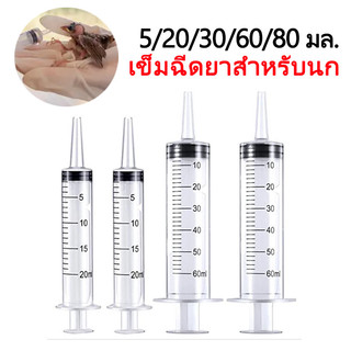 ที่ให้อาหารนกขนาดเล็ก ที่ให้อาหารนก 5-80 มล. กระบอกฉีดยาพลาสติกสำหรับนกแบบใช้ซ้ำได้ สัตว์ฟันแทะ สัตว์เลี้ยงขนาดเล็ก