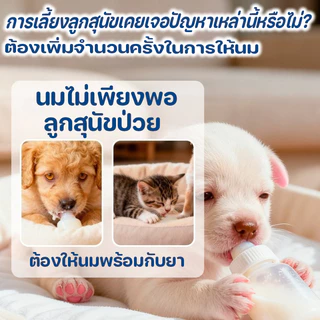 COD ขวดนมสัตว์เลี้ยง ลูกแมว ลูกสุนัขแรกเกิด ชุดขวดนมพร้อมจุกซิลิโคนอ่อน ปลอดภัย ใช้งานง่าย มีสเกล ml