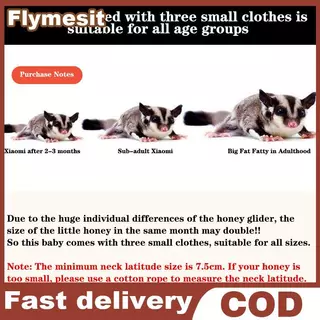Flymesit 4 ชิ้นสัตว์เลี้ยงขนาดเล็กสายรัดหน้าอกหนูแฮมสเตอร์กระรอก Leash Anti Bite Traction เชือก Sugar Glider Windproof พิเศษ Anti Lost เชือก EN
