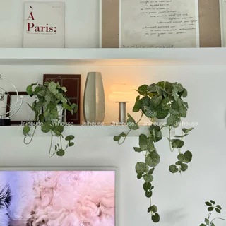[พร้อมส่ง] Jnihouse : ใบบัวบกเลื้อย ต้นไม้ประดิษฐ์กระถางขาว (Faux Centella Trailing Plant)(SW015)