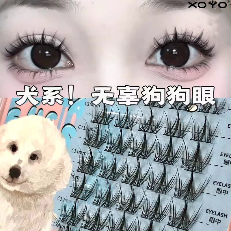 A New Product[30Hot Sale1.6Ten Thousand Pieces]XOYO Dog Series False Eyelashes Innocent Dog Eyelashe