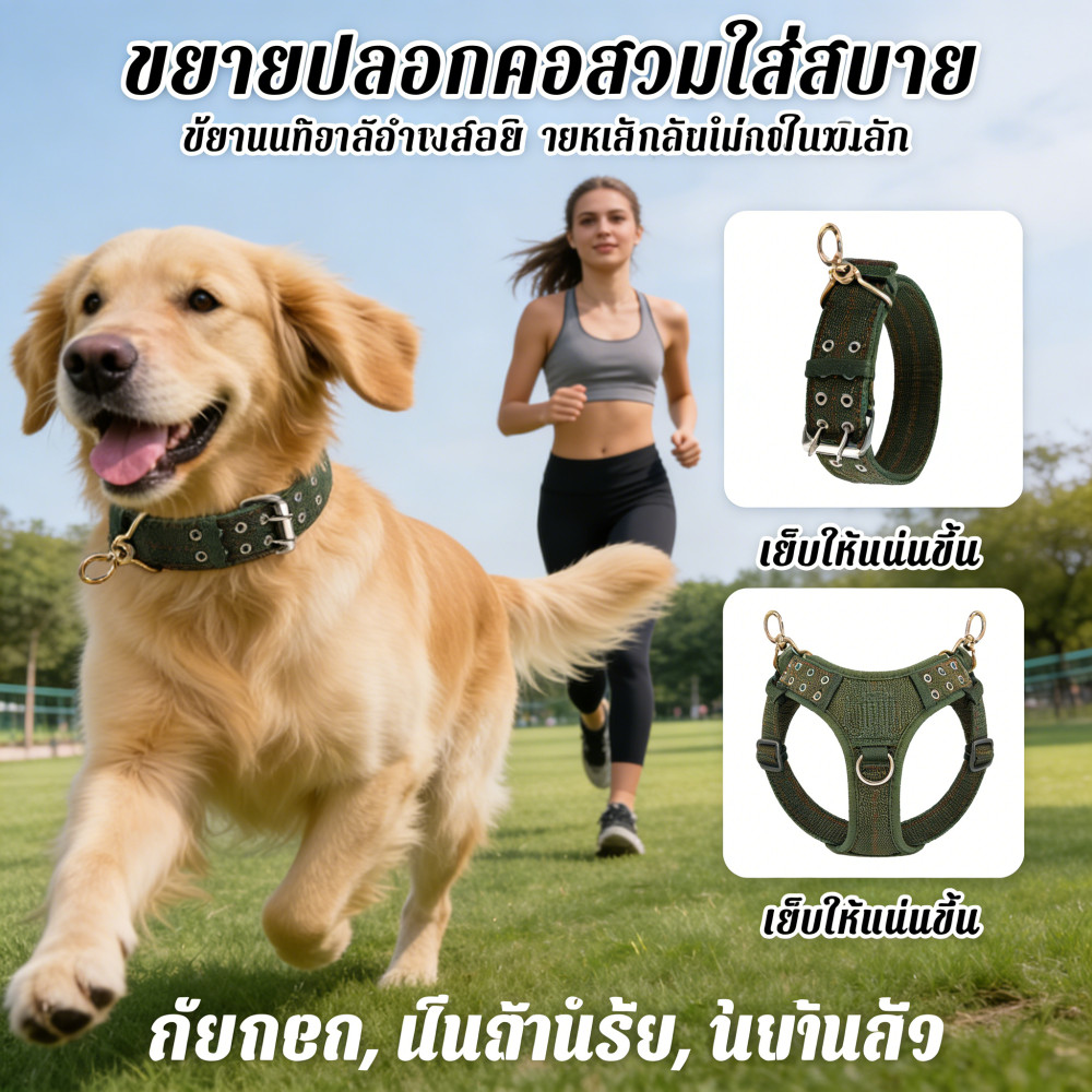 คอสุนัขปลอกใหญ่ปลอกสุนัขปลอกคอสุนัขปลอกคอสุนั�<|user|>