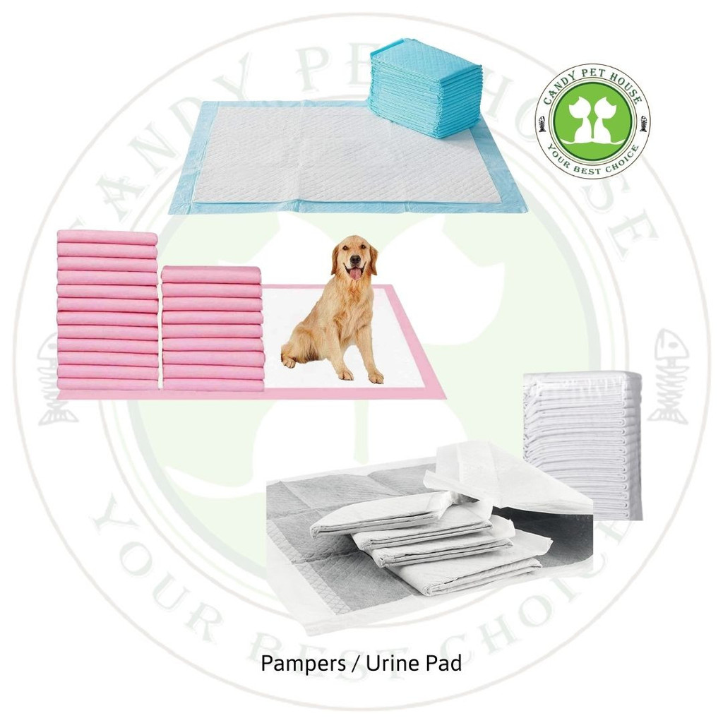 Lampin Haiwan Kucing Anjing / Pet Pampers/Urine Pad/Pet Diaper Pampers Cat Dog (5 ชิ้นเท่านั้น)