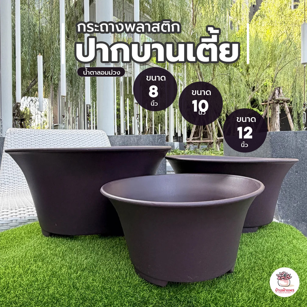 กระถางปากบานเตี้ย น้ำตาลอมม่วง กระถางพลาสติก แคคตัส กระบองเพชร ไม้อวบน้ำ Cactus&Succulent