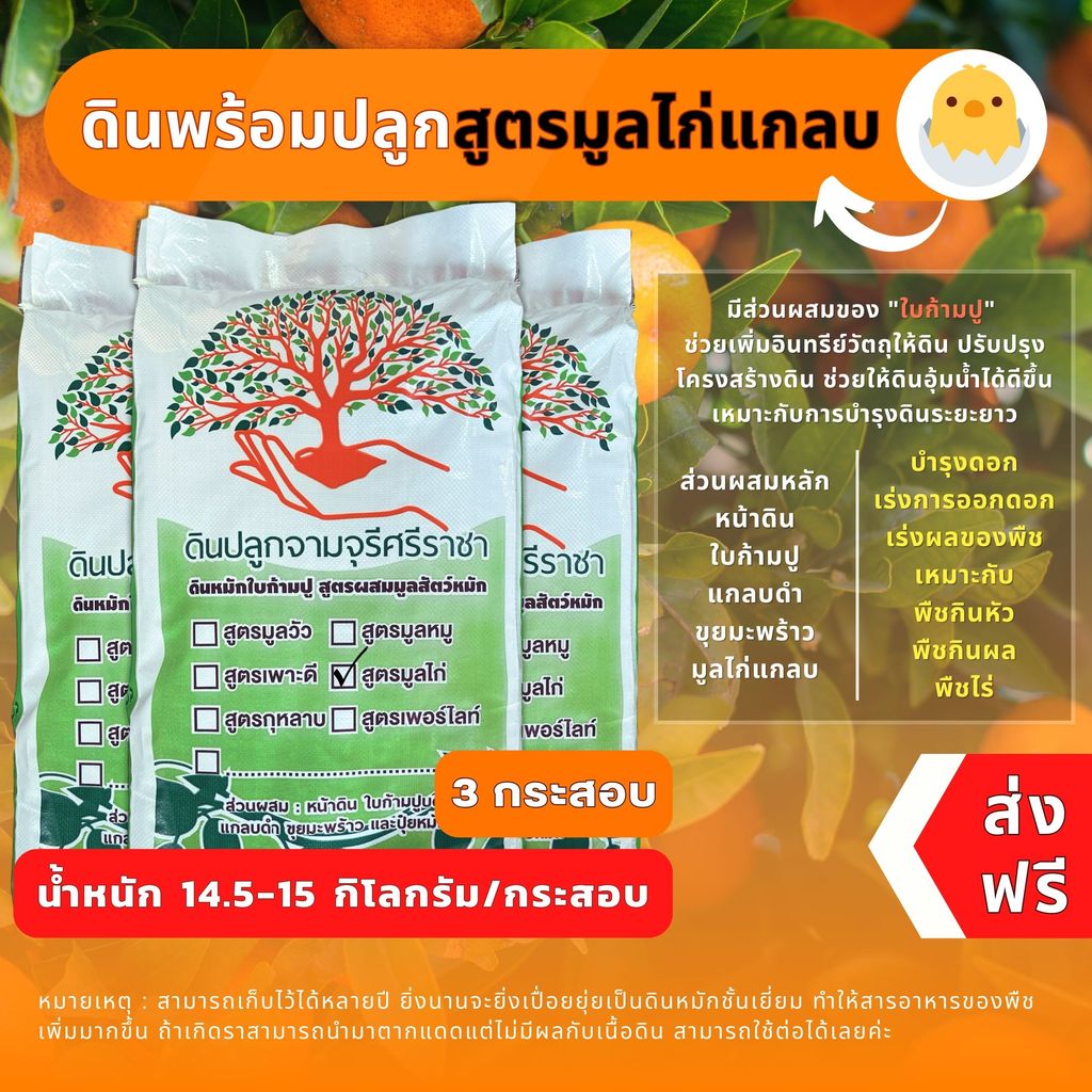 (ส่งฟรี)ดินผสมใบก้ามปูสูตรมูลไก่แกลบ 3 กระสอบ (14.5-15 kg.) ผสมพร้อมปลูก ใช้เวลาจัดส่ง 5-7 วัน ราคา ถูกที่สุด ดีลบีเคเค แกลเลอรีภาพที่ 8