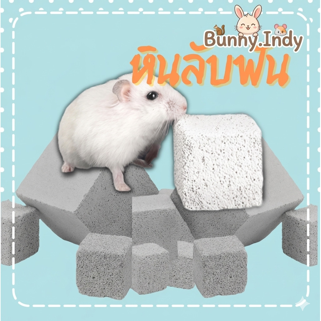ฺBunny.indy หินขัดฟันแฮมสเตอร์ ขัดฟันกระต่าย ขัดฟันหนูแกสบี้ ขัดฟันหนูตะเภา ขัดฟันกระรอก ขัดฟันชินชิล่า