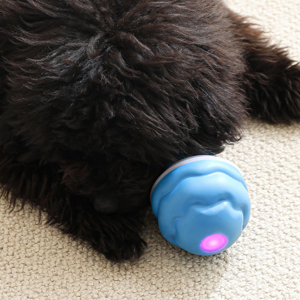 Power Tail Interactive Dog Ball ทําความสะอาดง่าย Self Moving Healthy Balls ของเล่น
 เหมาะสําหรับความ