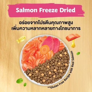 Ginno Real Meat Freeze Dried อาหารแมว ผสมมินิคิวบ์ ฟรีซดราย จากเนื้อสัตว์แท้ เม็ดแมว ขนาด 1 กิโลกรัม