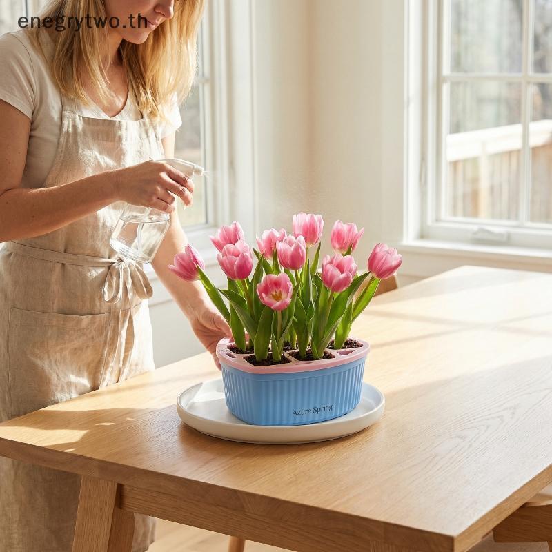 HB & ผม Tulip Grow ชุดอ่างอะคริลิค Root Che Strong Stable 4 5 หลุมตะกร้า Bulb Care กลางแจ้งในร่ม Dec