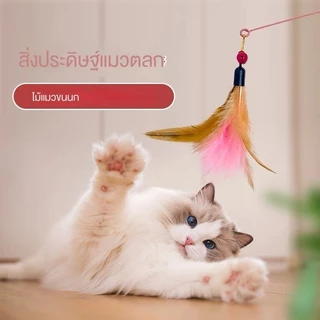 Mango ไม้ตกแมว ของเล่นแมว ของเล่นสัตว์เลี้ยง แบบสปริง ไม้ล่อแมว แบบลวดสลิง ไม้แมว ไม้แซวแมว มีขนนกและกระดิ่ง