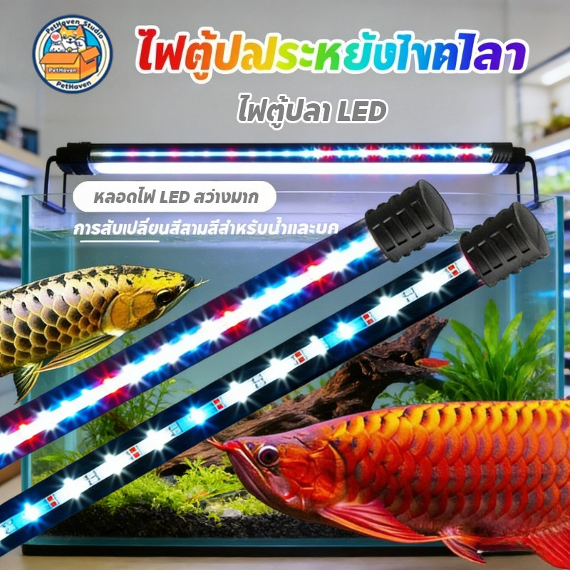 ไฟกันน้ำตู้ปลา หลอดไฟใต้น้ำ แช่น้ำได้ เพิ่มความงดงามสำหรับปลาประดับ