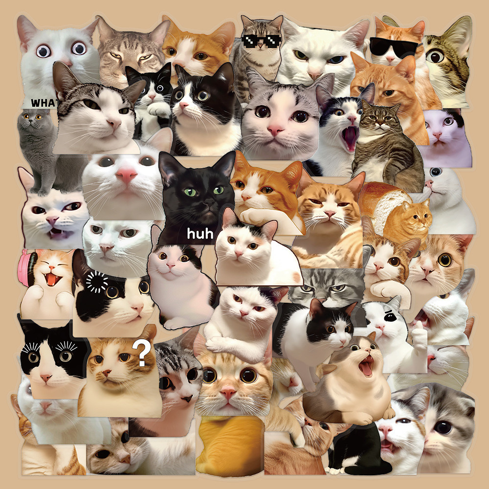 สติกเกอร์แมวตลกใส PET กันน้ำ มีมแมวสุดฮา ตกแต่ง DIY มินิมอล Funny Meme Cat Stickers Transparent PET
