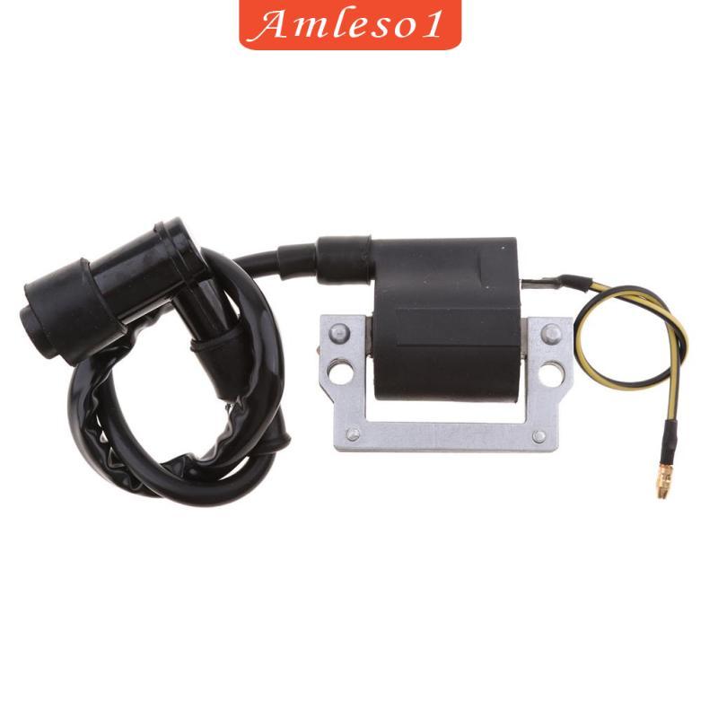 [Amleso1] คอยล์จุดระเบิดสําหรับ Yamaha LB50 RS100 RX100 RX125 DT100 DT125 DT175 อะไหล่