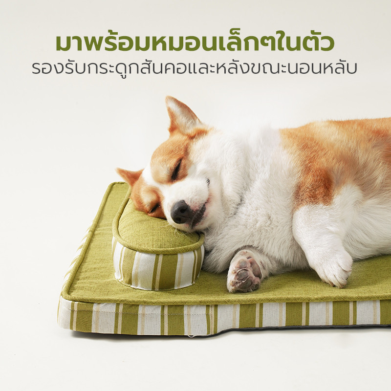 เบาะนอนสัตว์เลี้ยง ที่นอนสุนัข ที่นอนแมว Pet bed ไม่ยุบง่าย พร้อมหมอนในตัว ระบายอากาศดี มีให้เลือก 2สี 2ขนาด Petus pet รูปที่ 3