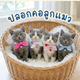 (ลูกแมว)ผลไม้ ลายเส้น • ปลอกคอแมวผ้าคอตต้อน • (ตัวล็อคนิรภัย…