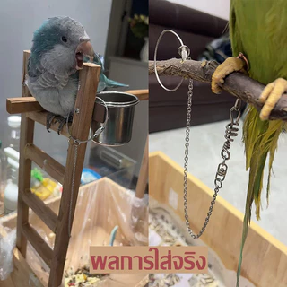 โซ่คล้องขานกสแตนเลส พร้อมห่วงขานก สายยืดคล้องขานก ห่วงเปิดนก นกแก้ว ฟอพัส หงษ์หยก เลิฟเบิร์