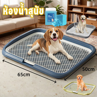 ถาดรองฉี่สุนัข สำหรับมือใหม่หัดเลี้ยง ใช้ง่าย ฝึกน้องขับถ่าย…