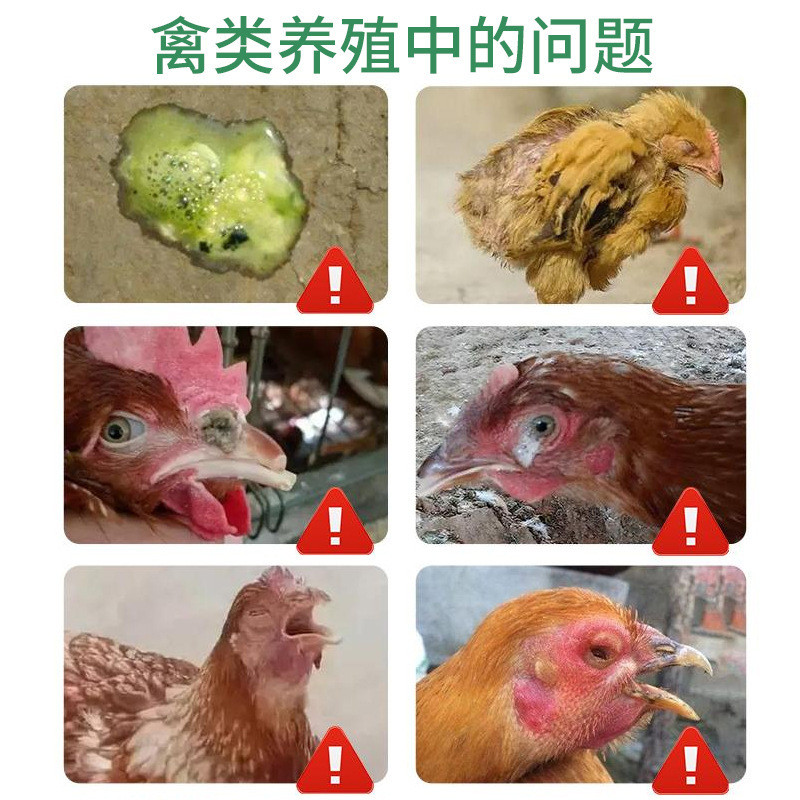 หายใจสุทธิเม็ด100ชิ้นแพคเกจไก่เป็ดห่านนกพิราบนกกระทาจมูกแกว่งตาสีแดงลมหายใจเปิดคอขยายลมหายใจหดหัวแกว่งหัว3.17