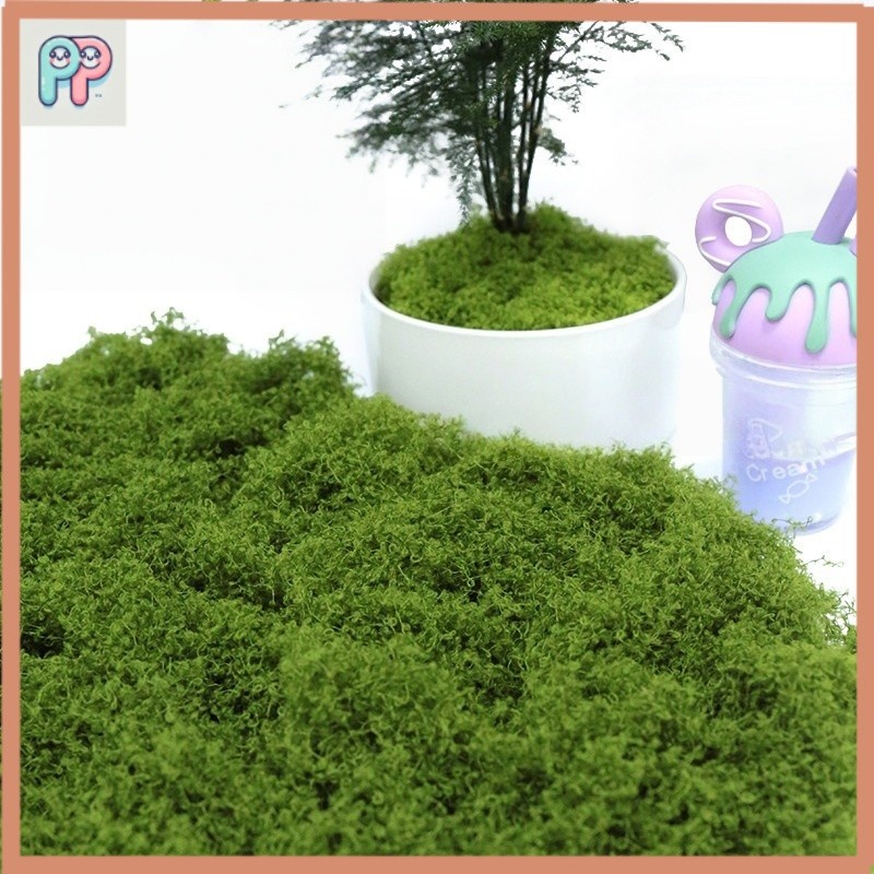 มอสเทียม 100 กรัม - สำหรับตกแต่งจุลภูมิ DIY บอนไซ สวนหิน และฉากตกแต่ง
