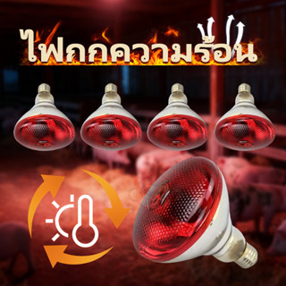 หลอดไฟอินฟาเรดทำความร้อน ทำความร้อนเร็ว  กันน้ำ ป้องกันระเบิ…