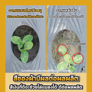 พลาสติกคลุมดิน 0.8ม.x400หลา(360ม) เจาะรูเดี่ยว 1แถว ผ้ายางคลุมดิน ผ้ายางคลุมวัชพืช ผ้ายางคลุมแปลงผัก
