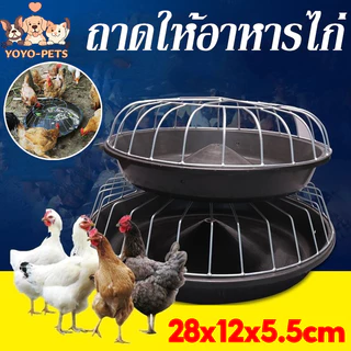 รางอาหารไก่ รางอาหารพิเศษสำหรับให้อาหารไก่ การเลี้ยงไก่แบบปล่อย ตีไม่พลิก กรวยหนาแรงเลียนแบบเอ็นวัว