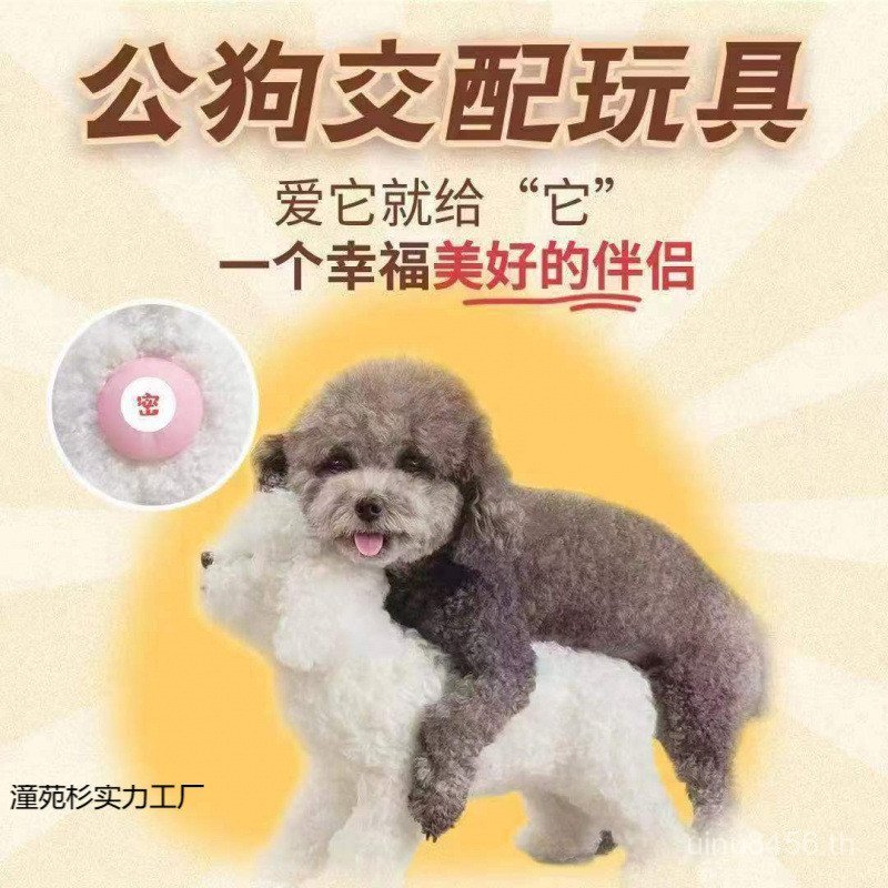 ใช้แฟนสุนัขท้องเสีย Huobi Vent หมีของเล่น Companion Di ขี่ Cross Vent Companion ไทยจับคู่ชายสุนัข D1