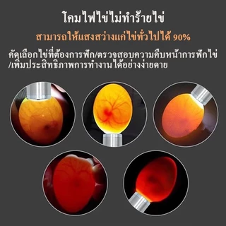 ไฟส่องไข่ ไฟฉายส่องเชื้อไข่ ไฟเช็คเชื้อ ไฟฉายส่องเชื้อ ไฟส่องไข่เชื้อ ไฟส่องไข่ไก่ อุปกรณ์ฟักไข่ แบบสาย usb