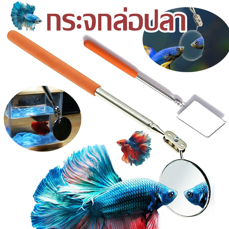 กระจกล่อปลา ไม้ล่อปลากัด ไม้ล่อปลากัด กระจกล่อปลา กระจกฝึกปลา กระจกฝึกปลา ยืดพับได้ กลม สี่เหลี่ยม