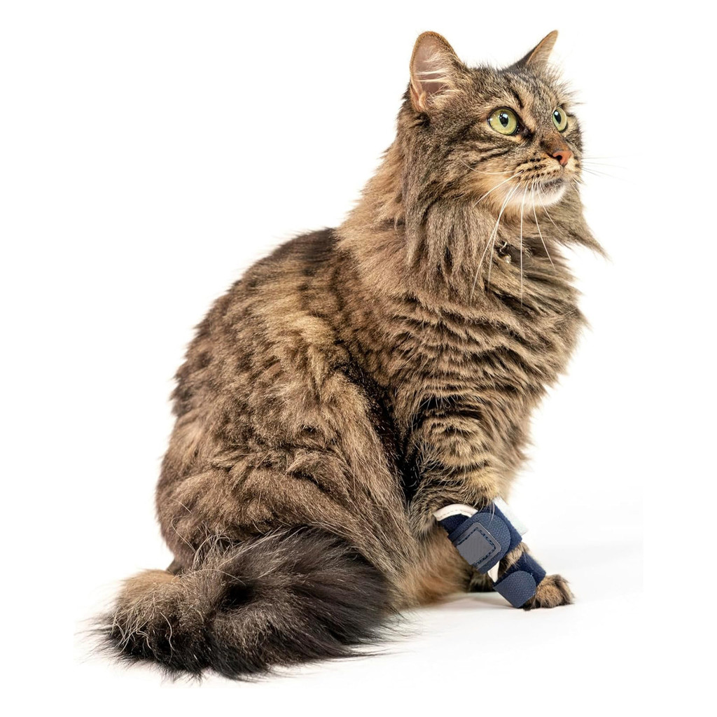 อุปกรณ์ป้องกันสัตว์เลี้ยงข้ามพรมแดน Cat Fore-Leg การบาดเจ็บเข็มขัดเสริมขาแมวป้องกันขา Joint Ligament Tear Recovery เข็มขัด