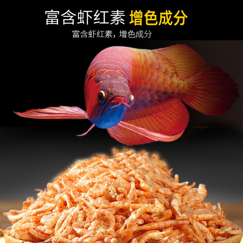 Re-Pet Antarctic Krill Silver Arowana Food Goldfish Feed Blood Parrot Redfish Food Map Fish Tropical
