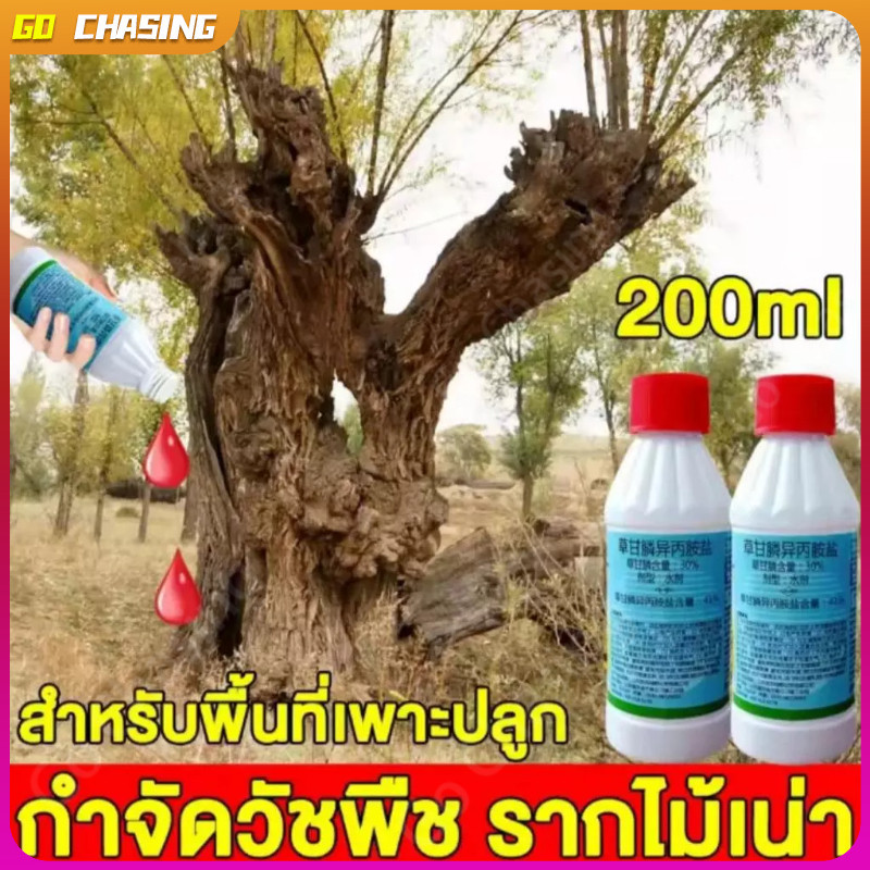SiamTool ยาฆ่าต้นไม้ใหญ เข้มข้นสุด 200ml ยาฆ่าตอต้นไม้ ตรงไปที่ราก รากเน่ารากตาย ยาฆ่าตอไม 1ขวดเท่ากับ20ขวด