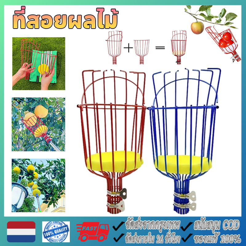 ที่สอยผลไม้ ที่สอยมะม่วง fruit picker ตะกร้อสอยผลไม้