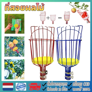ที่สอยผลไม้ ที่สอยมะม่วง fruit picker ตะกร้อสอยผลไม้