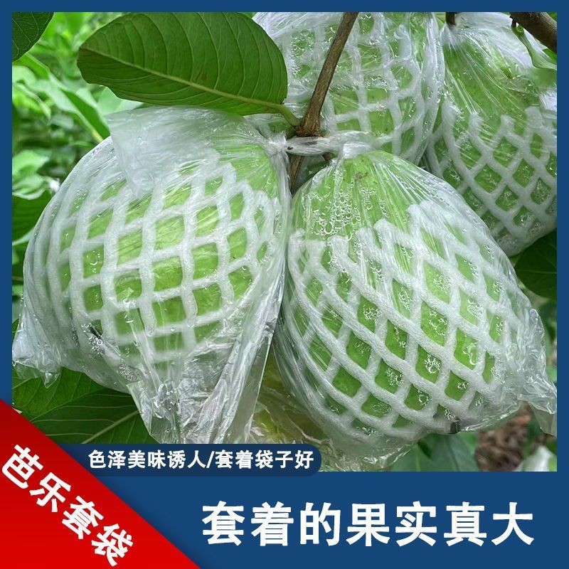 คําแนะนํายอดนิยม-Guava Instegrated Mesh Bag Anti-Scratch Foam Bag Guava Bag Pomegranate Mesh Bag