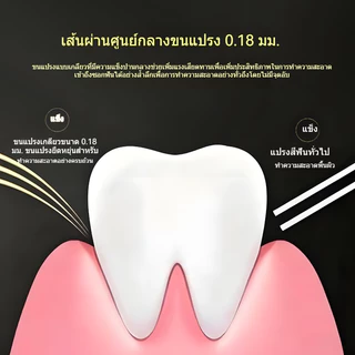 แปรงสีฟันทําความสะอาดพลังงาน-ขนแปรงแข็งขนาดกลางสําหรับผู้ใหญ่ขนแปรงเกลียวกําจัดคราบและฟันสว่างใช้ในบ้าน