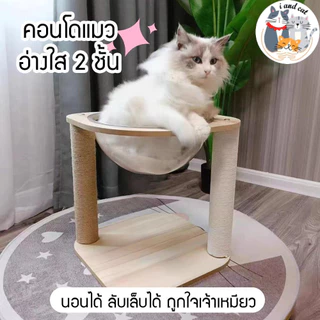 I&CAT คอนโดแมวไม้ หลุมอวกาศใส 3ชั้น เสาเชือกปอ ที่ลับเล็บ กล่องนอนแมว ลูกบอลของเล่น โครงปีนแมว