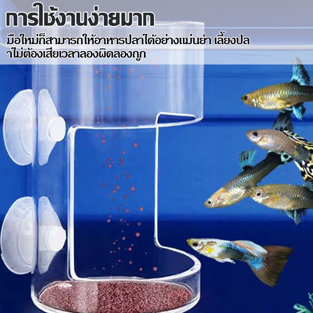 ตู้ปลาหางนกยูง ลอดอาหารปลา แหวนลอ� อาหารอัตโนมัติ รูปที่ 4