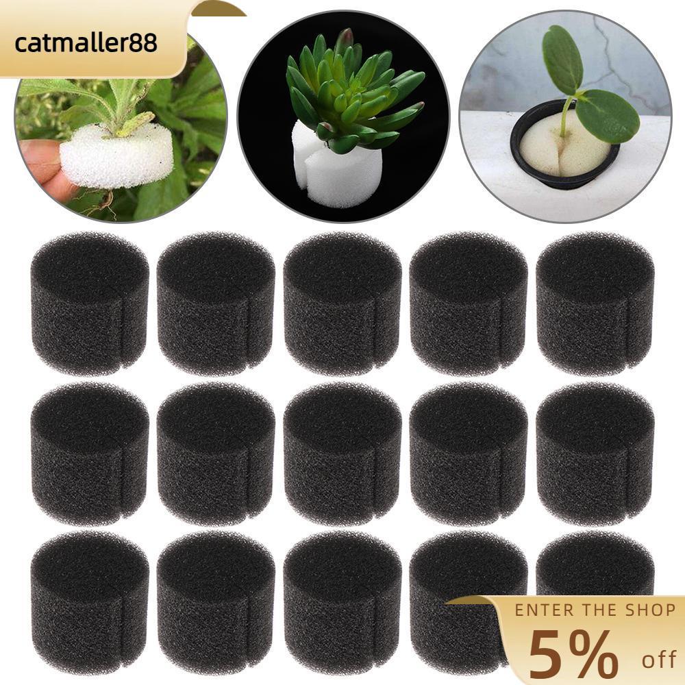 CATMALLER88 10/50 ชิ้น Nursery Sponge Aquarium Garden Supplies ถาดขายร้อน