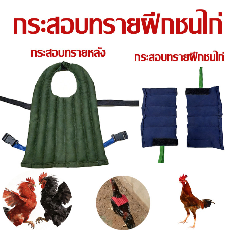 กระสอบทรายฝึกชนไก่ ผ้านวมพันแข้งไก่ชน กระสอบทรายการฝึกหลัง กระสอบทรายขาไก่ชน ออกกำลังกายไก่ อุปกรณ์ไก่ชน