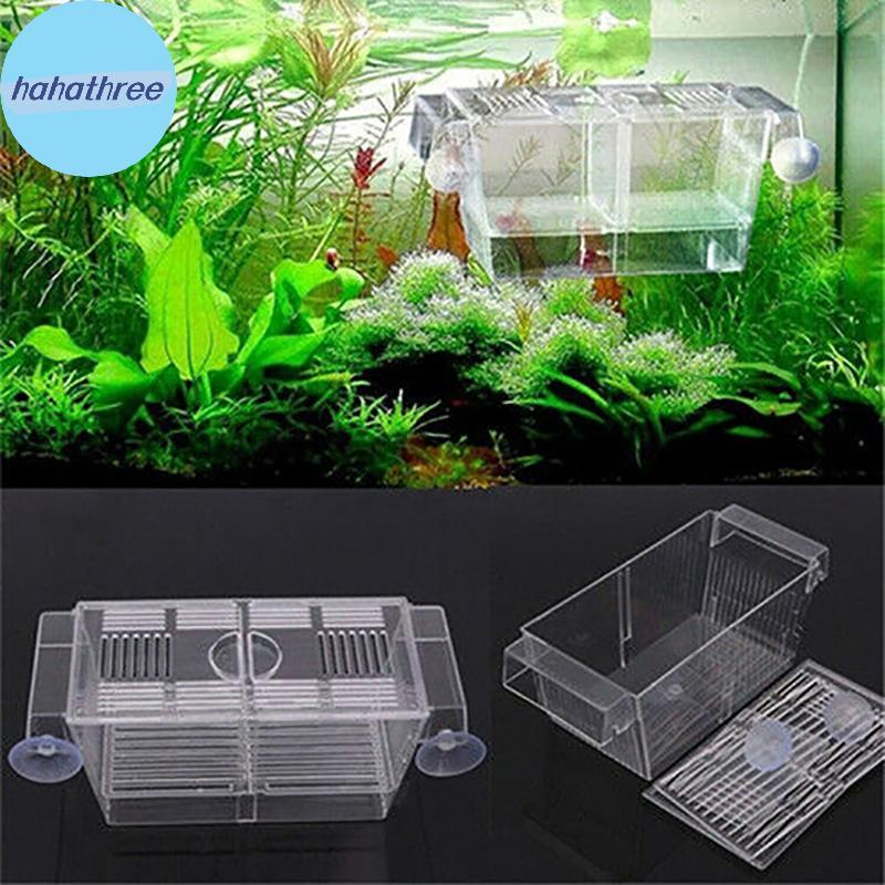 Ha Aquarium Fish Tank Guppy Double Breeding Breeder Rearing Trap Box Hatchery VN