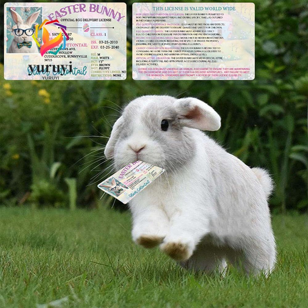 YURUYI Easter Bunny Card, DIY Bunny Lost Drivers License Easter Rabbit Card, พลาสติก Easter Bunny ID