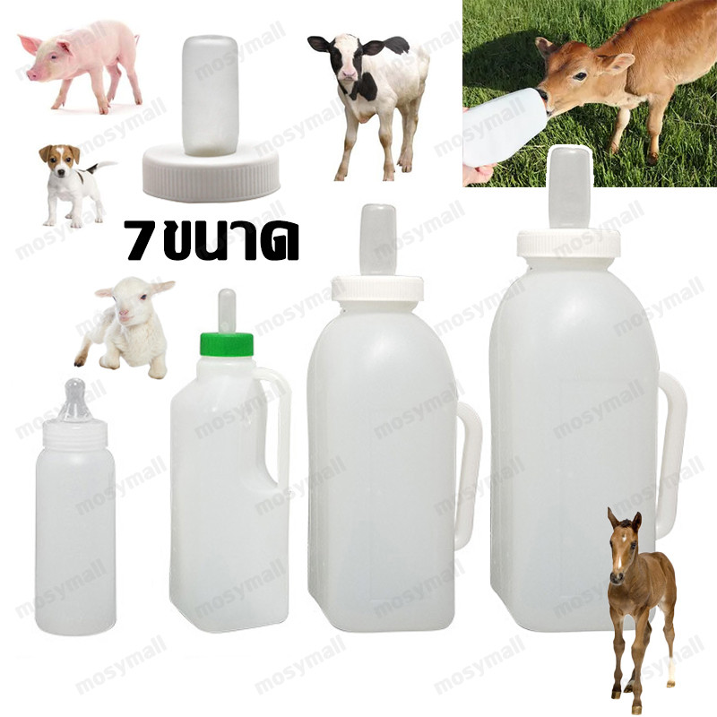 ขวดป้อนนมวัว พร้อมจุกนม ขวดนมวัว ขวดป้อนนมแพะ ขวดนมสัตว์ใหญ่ 250ml/850ml/1L/2L จุกนม วัว แพะ ส่งจากไทย