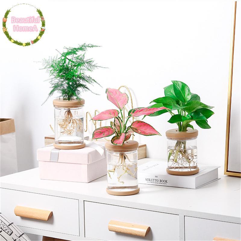 BHome กระถางสําหรับหม้อแจกันแก้วเลียนแบบปลูกกระถางขนาดเล็กพืชสีเขียวแจกันดอกไม้ TH