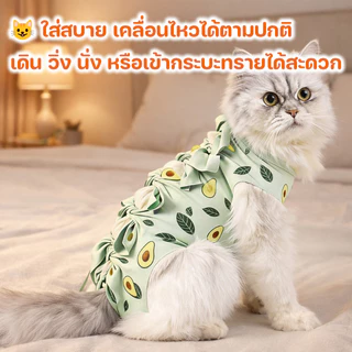 เสื้อผ่าตัดแมว เสื้อผ้าฆ่าเชื้อหลังผ่าตัด เสื้อผ้าหย่านม ป้องกันการเลีย แบคทีเรียแยก ระบายอากาศและสะดวกสบาย