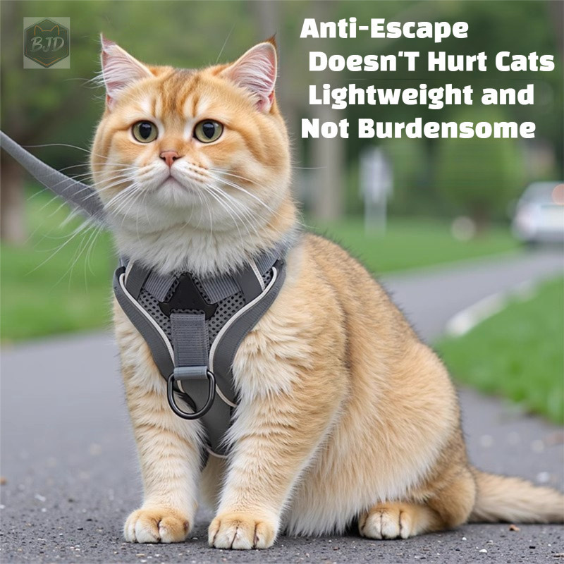 Maine Coon สายรัดแมวสายจูง Escape Proof ปรับเชือกเดินกลางแจ้ง Heavy Duty สายรัดสัตว์เลี้ยงสําหรับแมวขนาดใหญ่