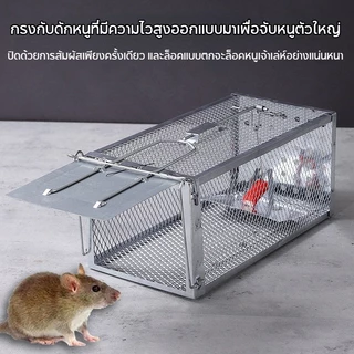 COD กรงดักหนูสปริง กรงดักหนูโครงหนา วัสดุโลหะแข็งแรง ใช้ซ้ำได้ กับดักหนูไว ติดตั้งง่าย สำหรับบ้าน โรงนา และโกดัง