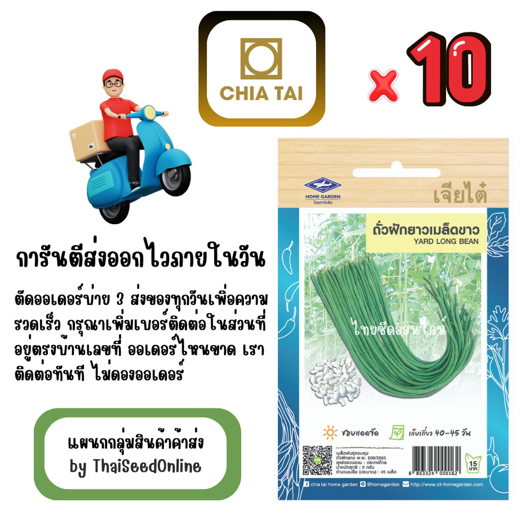 เจียไต๋ CTOP x 10 เมล็ดผักซองเจียไต๋ ถั่วฝักยาว เมล็ดขาว สินค้ายกแพ็ค