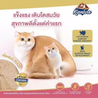 ใหม่! Kaniva Mother Cat & Kitten อาหารเปียกสำหรับแม่แมวและลูกแมว แบบซอง ขนาด 35 กรัม [ยกลัง 48 ซอง]